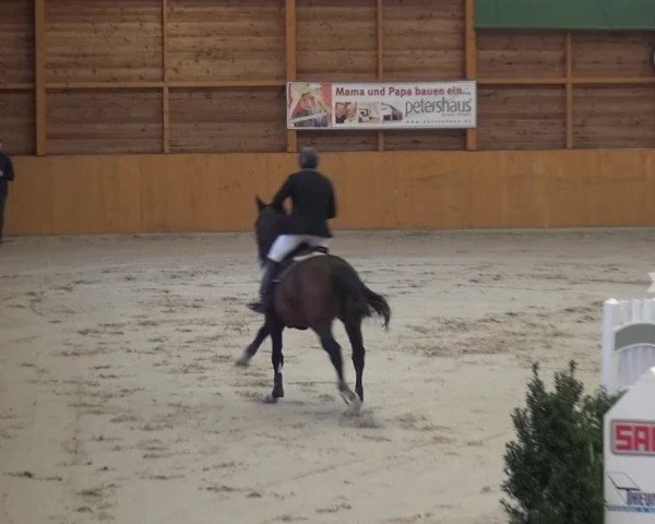 Springturnier Xanten 2016