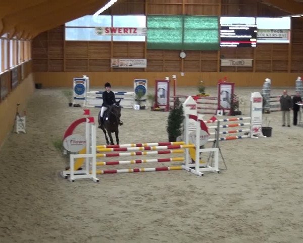 Springturnier Xanten 2016