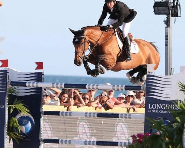 jumper Rosana du Park (Selle Français, 2005, from Kannan)