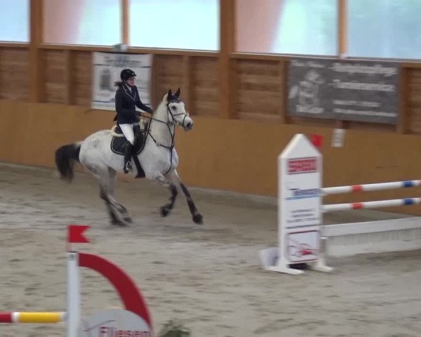 Springturnier Xanten 2016