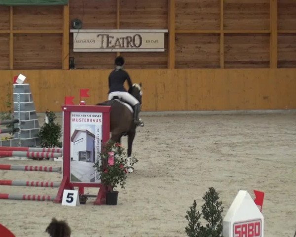 Springturnier Xanten 2016