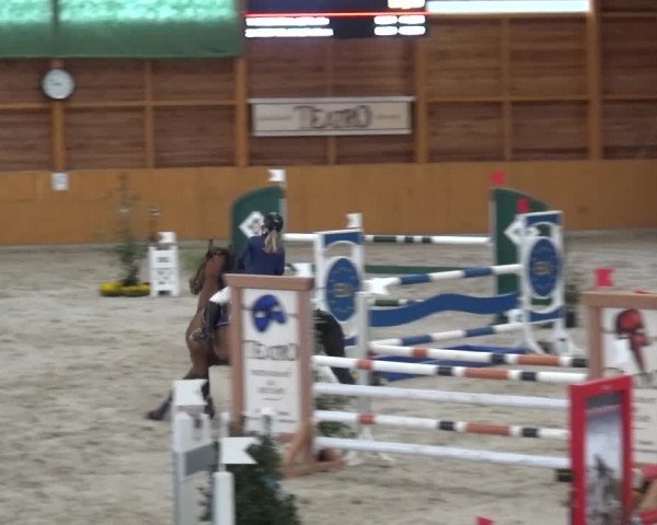 Springturnier Xanten 2016