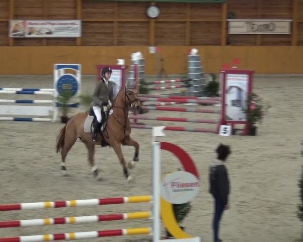 Springturnier Xanten 2016