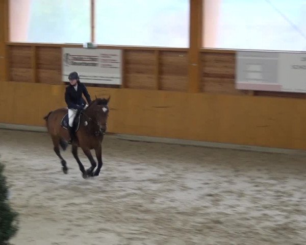 Springturnier Xanten 2016