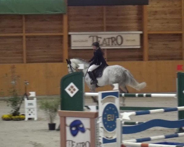 Springturnier Xanten 2016