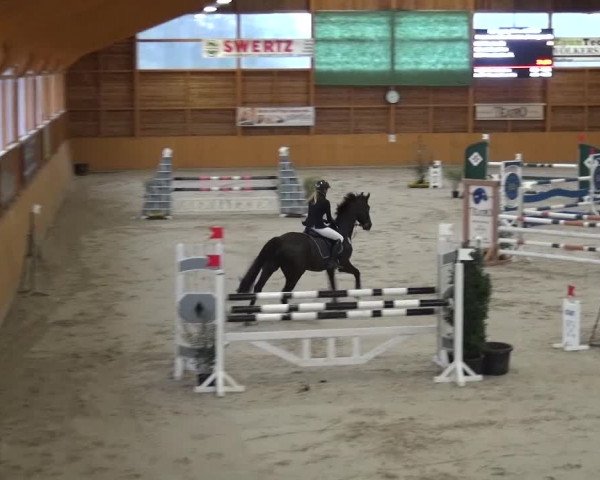 Springturnier Xanten 2016