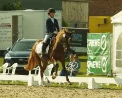 jumper Rieemaars Dian Fossey (German Riding Pony, 2015, from Halifax)