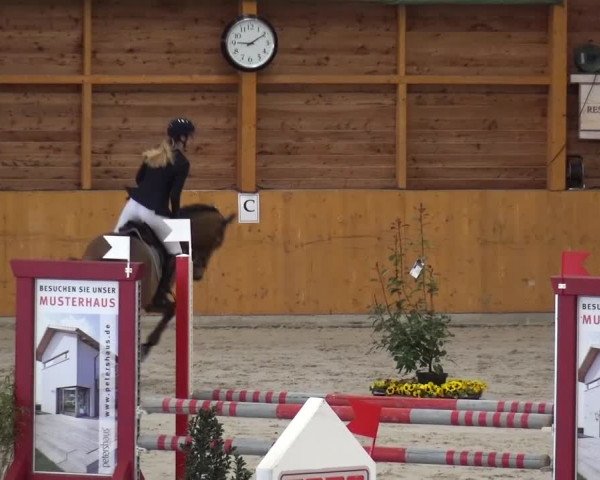 Springturnier Xanten 2016