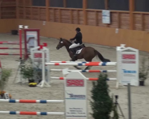 Springturnier Xanten 2016