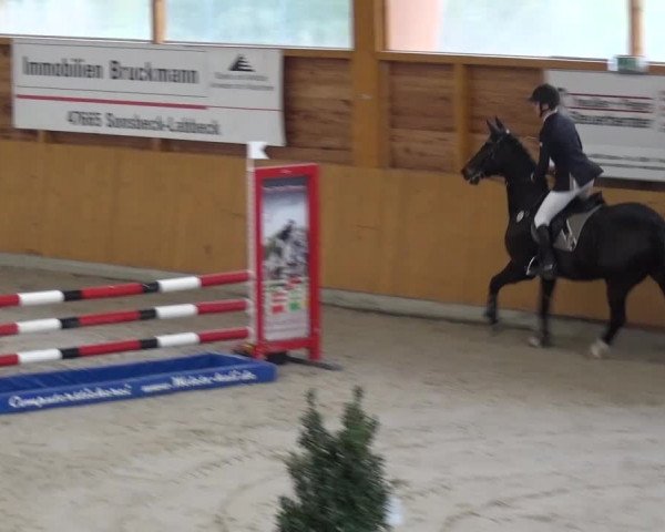Springturnier Xanten 2016
