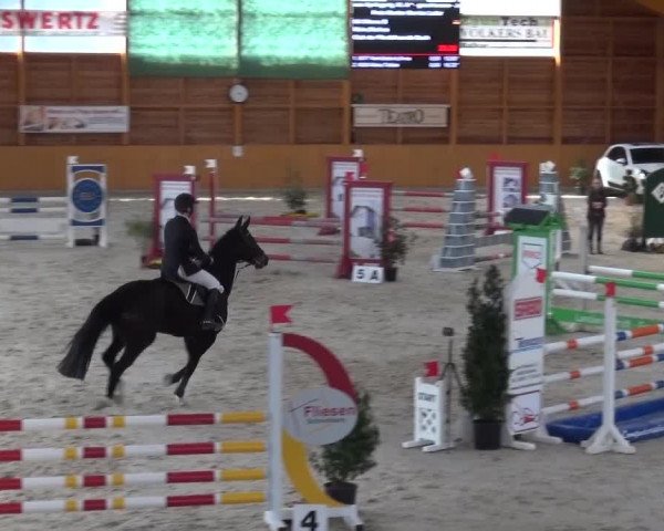 Springturnier Xanten 2016