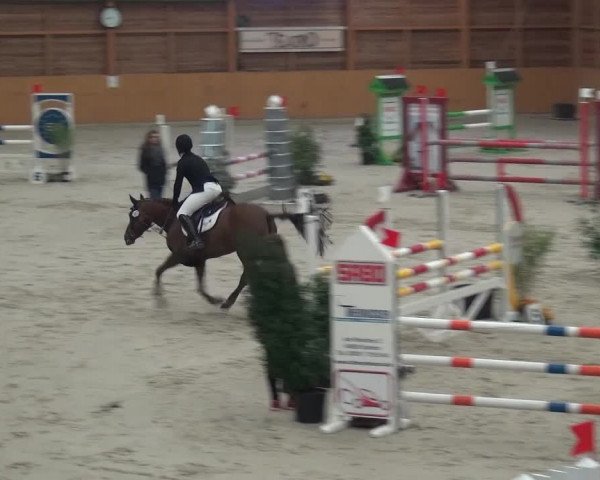 Springturnier Xanten 2016