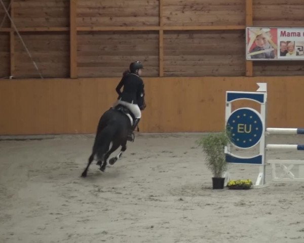 Springturnier Xanten 2016