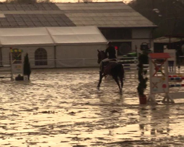 Reitturnier Bottrop 2016