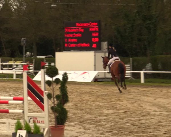 Reitturnier Bottrop 2016