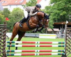 dressage horse Ce Le Coeur (German Sport Horse, 2014, from Coronet d'Honneur)