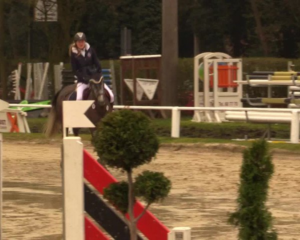 Reitturnier Bottrop 2016