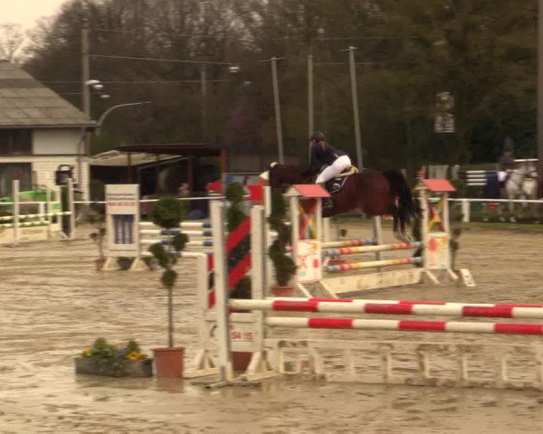 Reitturnier Bottrop 2016