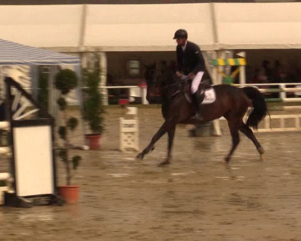 Reitturnier Bottrop 2016