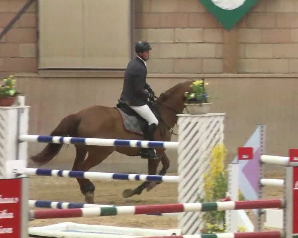 Hallenspringturnier Friedrichshafen-Ailingen 2016