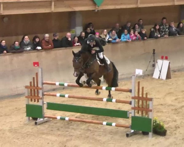 Hallenspringturnier Friedrichshafen-Ailingen 2016