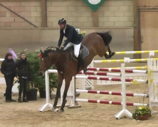 Hallenspringturnier Friedrichshafen-Ailingen 2016