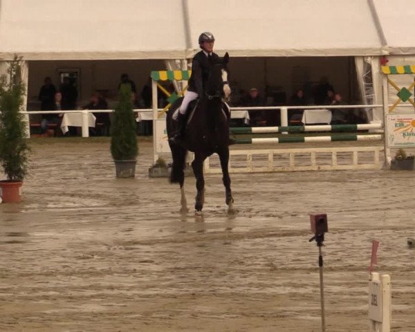 Reitturnier Bottrop 2016