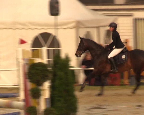 Reitturnier Bottrop 2016