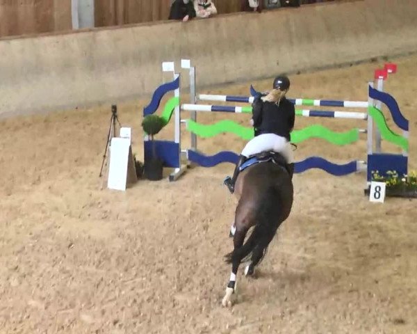 Hallenspringturnier Friedrichshafen-Ailingen 2016