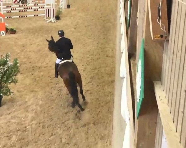 Hallenspringturnier Friedrichshafen-Ailingen 2016