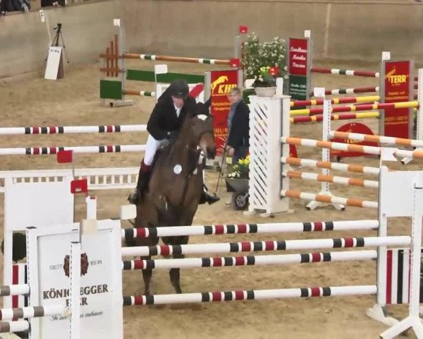 Hallenspringturnier Friedrichshafen-Ailingen 2016
