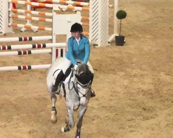 Hallenspringturnier Friedrichshafen-Ailingen 2016