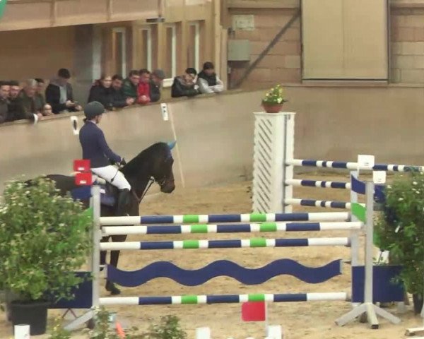 Hallenspringturnier Friedrichshafen-Ailingen 2016