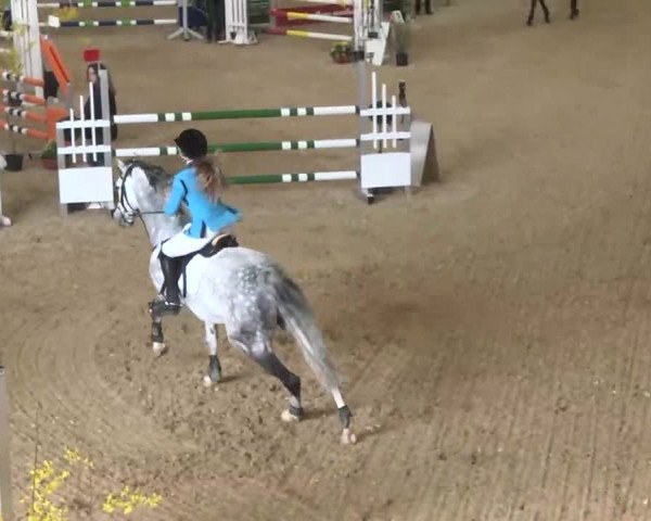 Hallenspringturnier Friedrichshafen-Ailingen 2016