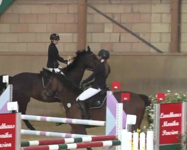Hallenspringturnier Friedrichshafen-Ailingen 2016