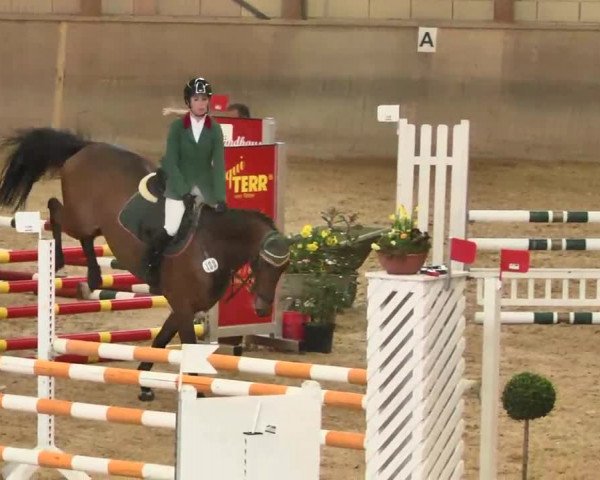 Hallenspringturnier Friedrichshafen-Ailingen 2016