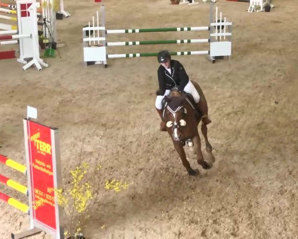 Hallenspringturnier Friedrichshafen-Ailingen 2016