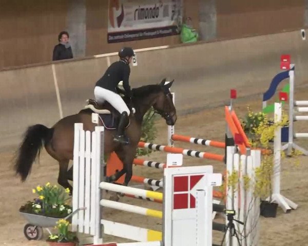 Hallenspringturnier Friedrichshafen-Ailingen 2016