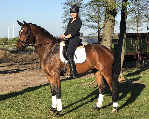horse Bynona GH (Oldenburg, 2016, from Buenos Dias 6)