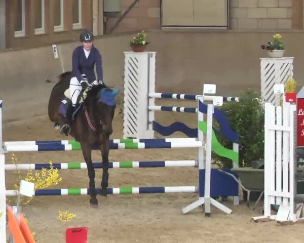 Hallenspringturnier Friedrichshafen-Ailingen 2016
