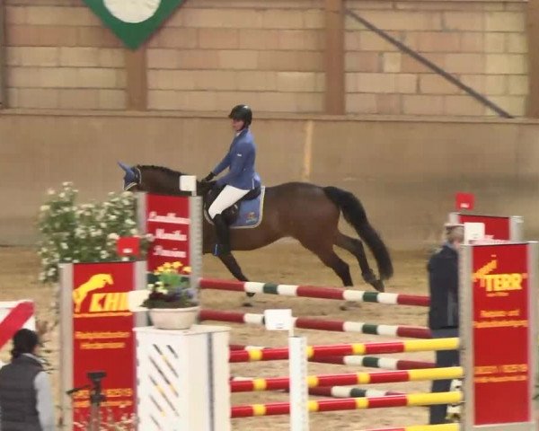 Hallenspringturnier Friedrichshafen-Ailingen 2016