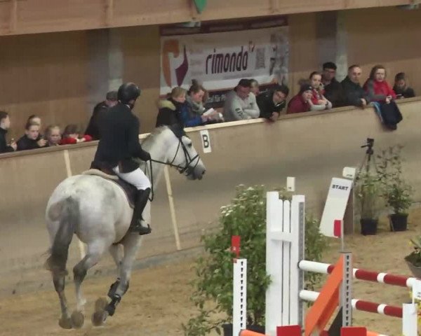 Hallenspringturnier Friedrichshafen-Ailingen 2016