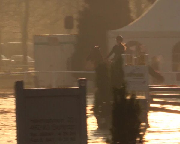 Reitturnier Bottrop 2016