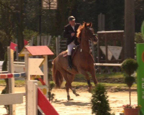 Reitturnier Bottrop 2016