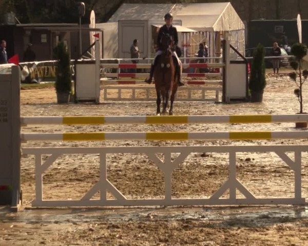 Reitturnier Bottrop 2016