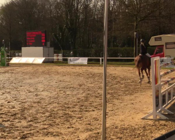 Reitturnier Bottrop 2016