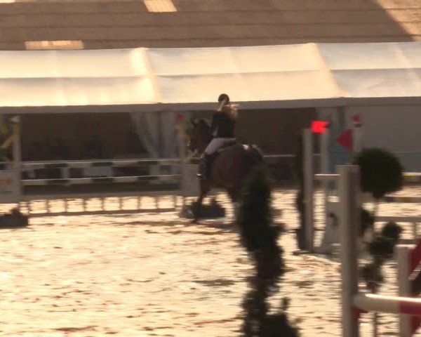 Reitturnier Bottrop 2016