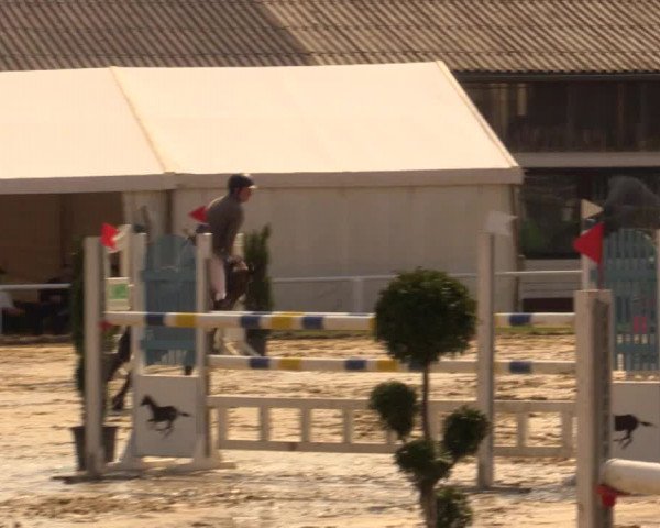 Reitturnier Bottrop 2016