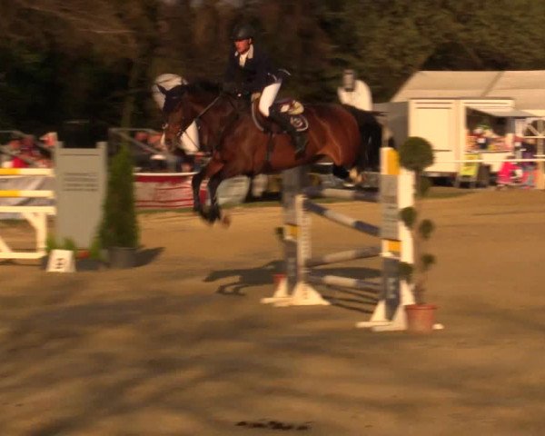 Reitturnier Bottrop 2016