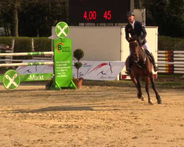 Reitturnier Bottrop 2016